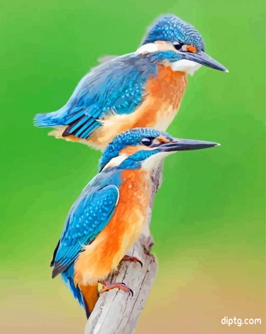 Blue Kingfishers Painting By Numbers Kits.jpg