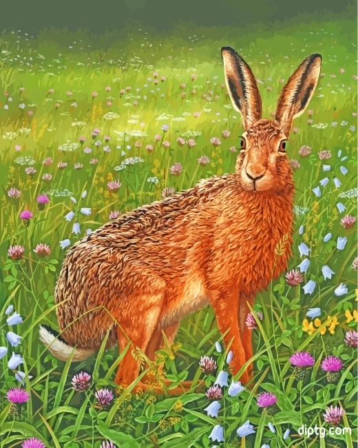 Hare In Meadow Painting By Numbers Kits.jpg