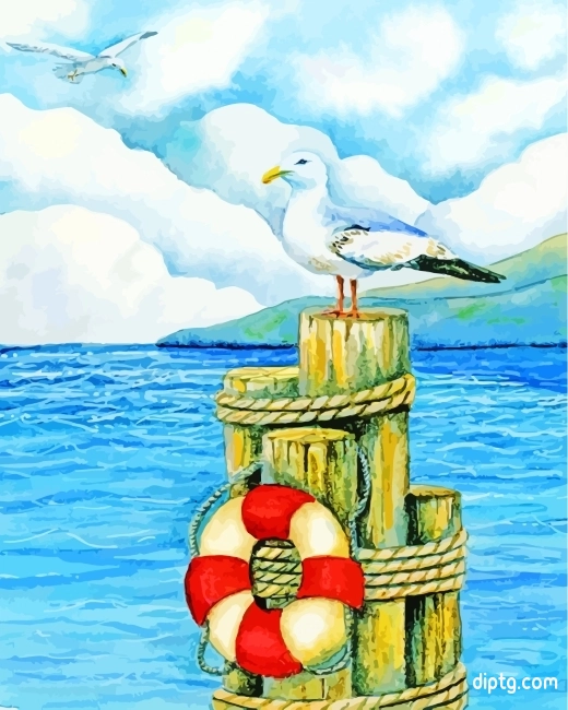 Seagull Bird Art Painting By Numbers Kits.jpg