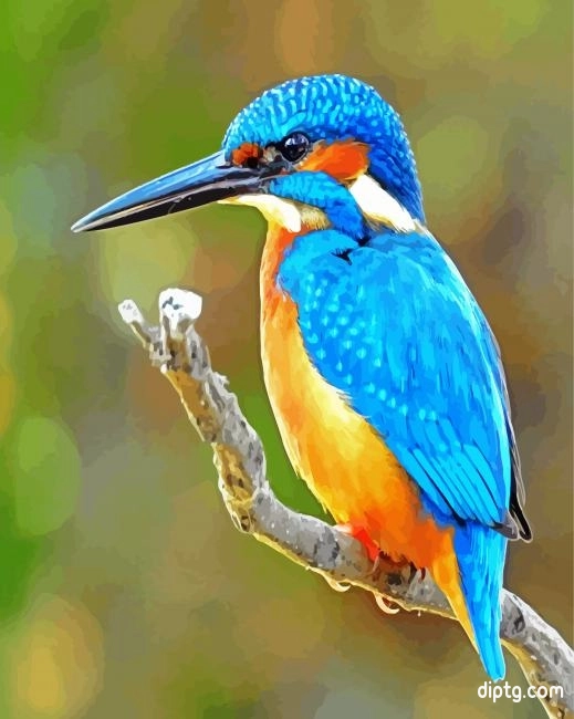 Bird Kingfishers Painting By Numbers Kits.jpg