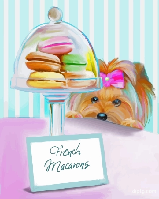 Yorkie Dog And Macarons Painting By Numbers Kits.jpg