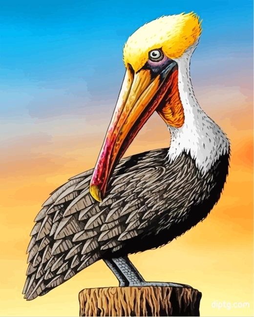 Pelican Art Painting By Numbers Kits.jpg