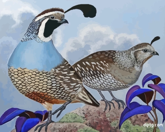 Quail Birds Painting By Numbers Kits.jpg