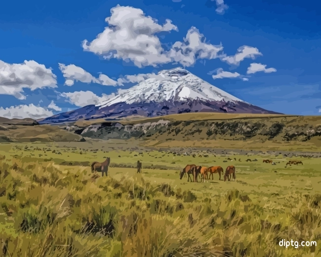 Cotopaxi National Park Quito Painting By Numbers Kits.jpg