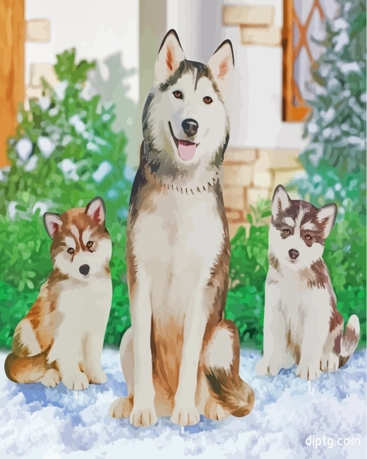 Husky Family Painting By Numbers Kits.jpg
