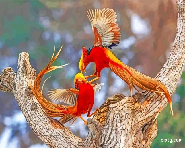 Red And Orange Pheasants Painting By Numbers Kits.jpg