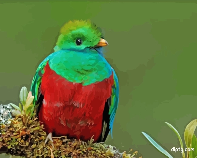 Quetzal Green Bird Painting By Numbers Kits.jpg