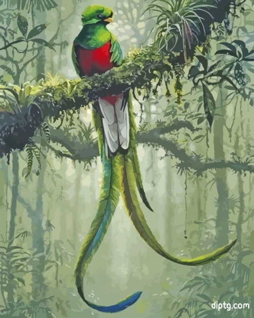 Quetzal Bird Art Painting By Numbers Kits.jpg