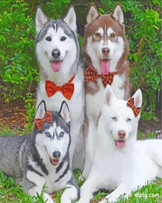 Husky Dogs Family Painting By Numbers Kits.jpg