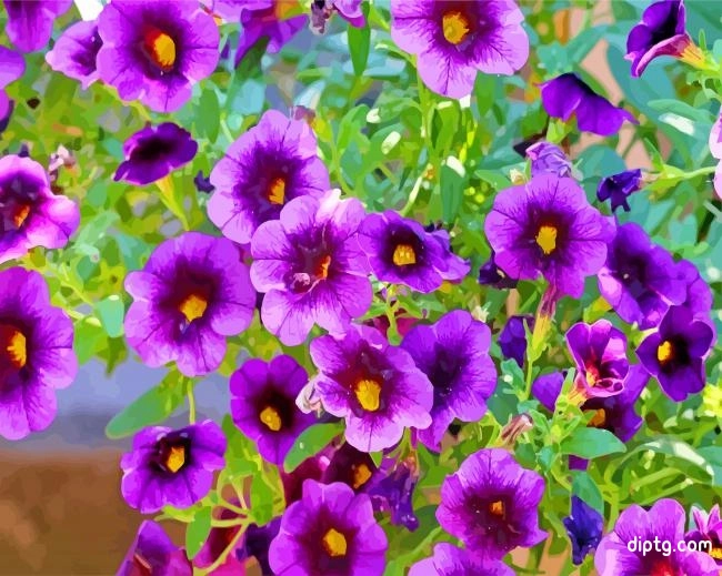 Wonderful Purple Petunias Painting By Numbers Kits.jpg