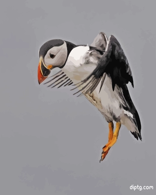 Atlantic Puffin Painting By Numbers Kits.jpg