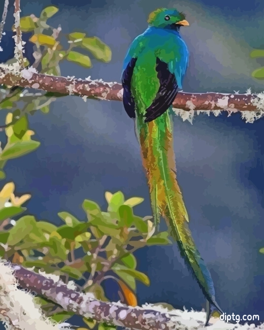 Aesthetic Quetzal Bird Painting By Numbers Kits.jpg