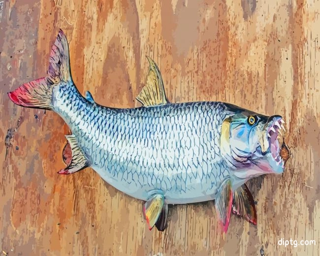 Tigerfish Illustration Painting By Numbers Kits.jpg