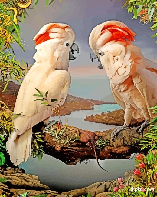 Salmon Crested Cockatoo In Forest Painting By Numbers Kits.jpg