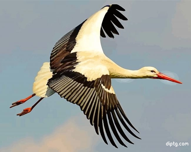 Flying Stork Painting By Numbers Kits.jpg