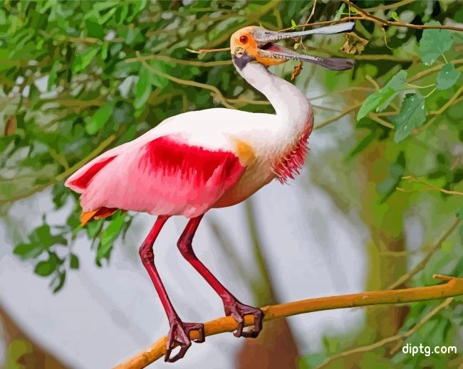 Roseate Spoonbill On Stick Painting By Numbers Kits.jpg