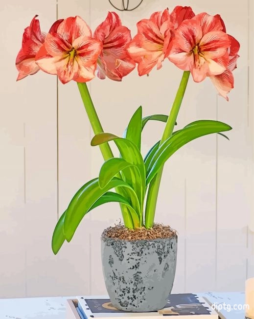 Orange Amaryllis Painting By Numbers Kits.jpg