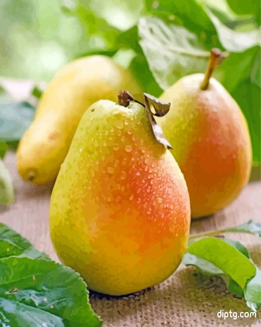 Fresh Pears Painting By Numbers Kits.jpg
