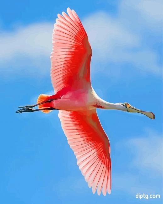 Flying Roseate Spoonbill Painting By Numbers Kits.jpg