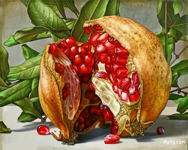 Pomegranate Painting By Numbers Kits.jpg