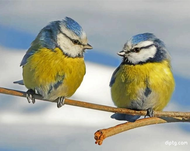Aesthetic Blue Tit Birds Painting By Numbers Kits.jpg