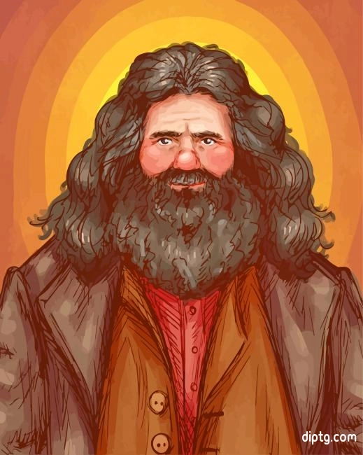 Rubeus Hagrid Art From Harry Potter Painting By Numbers Kits.jpg