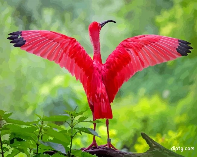 The Scarlet Ibis Bird Painting By Numbers Kits.jpg