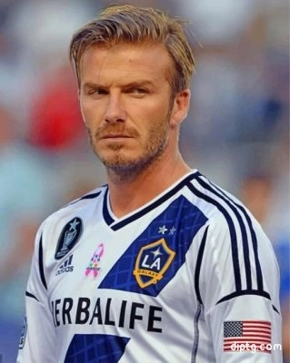 The Professionl Footballer Beckham Painting By Numbers Kits.jpg