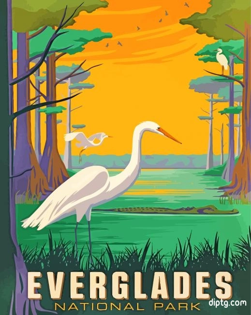 Birds In Everglades National Park Florida Painting By Numbers Kits.jpg
