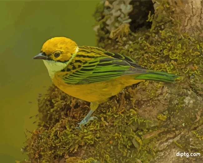 Silver Throated Tanager Yellow Bird Painting By Numbers Kits.jpg