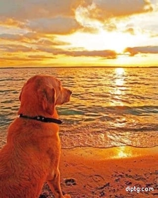 Dog Watching Sunset Painting By Numbers Kits.jpg
