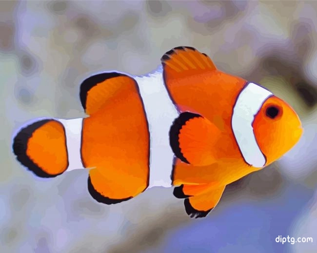 Clownfish Painting By Numbers Kits.jpg