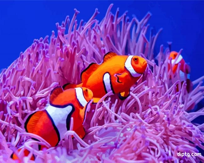 Clownfish On Coral Reef Painting By Numbers Kits.jpg