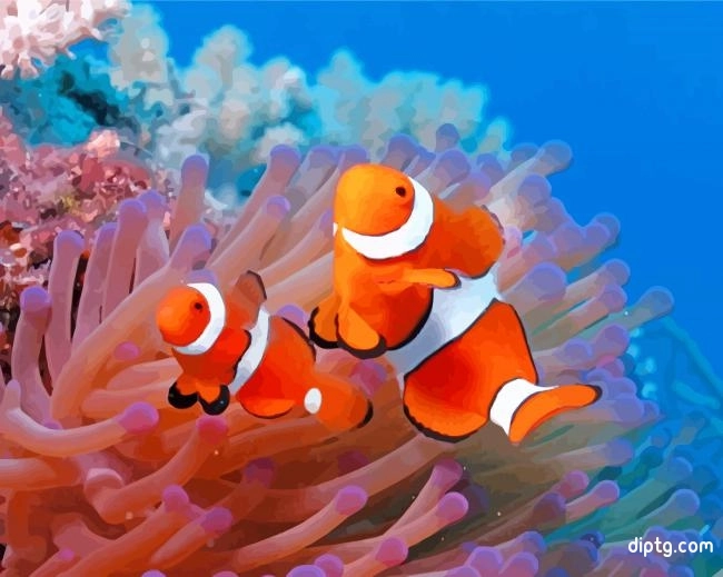 Aesthetic Clownfish Painting By Numbers Kits.jpg