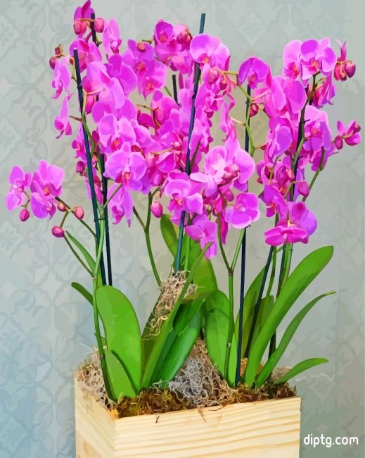 Purple Orchids Vases Painting By Numbers Kits.jpg