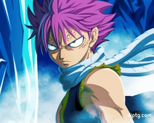 Natsu Fairy Tail Painting By Numbers Kits.jpg