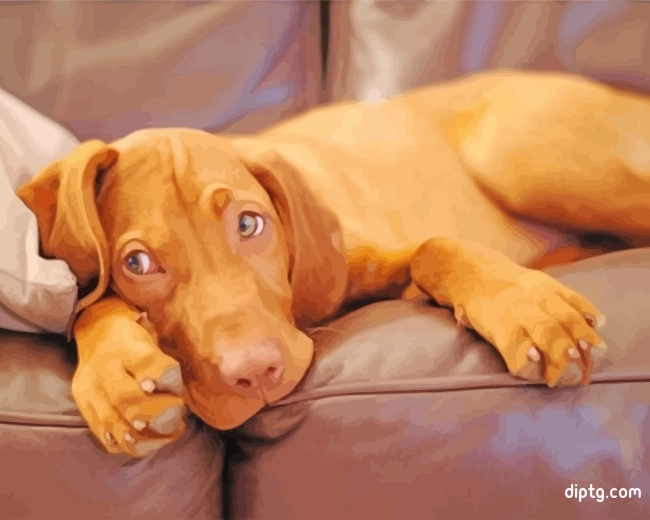 Sleepy Vizsla Painting By Numbers Kits.jpg