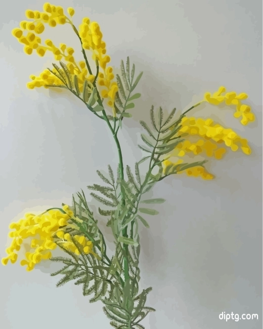 Golden Wattle Plant Painting By Numbers Kits.jpg