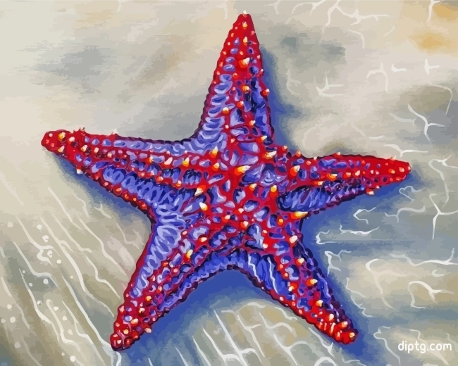 Starfish Art Painting By Numbers Kits.jpg