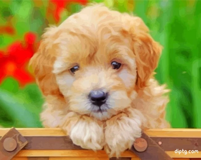 Mini Goldendoodle Puppy Painting By Numbers Kits.jpg