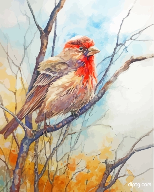 House Finch Bird Art Painting By Numbers Kits.jpg