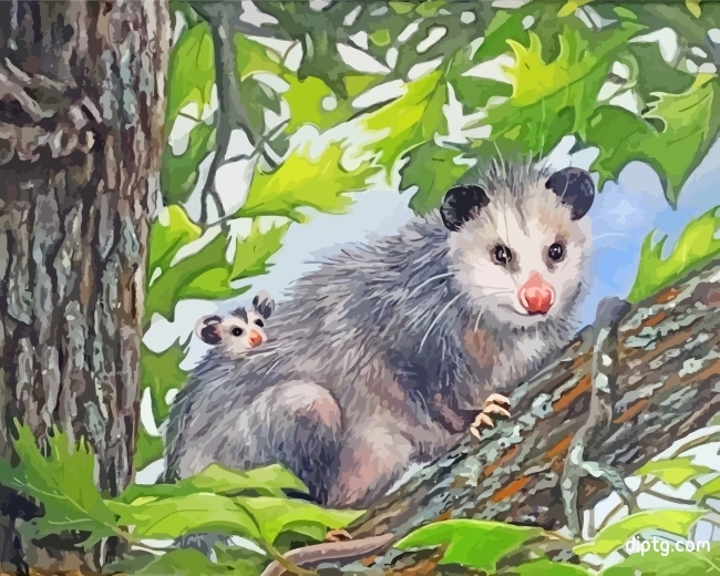 Possum On Tree Painting By Numbers Kits.jpg