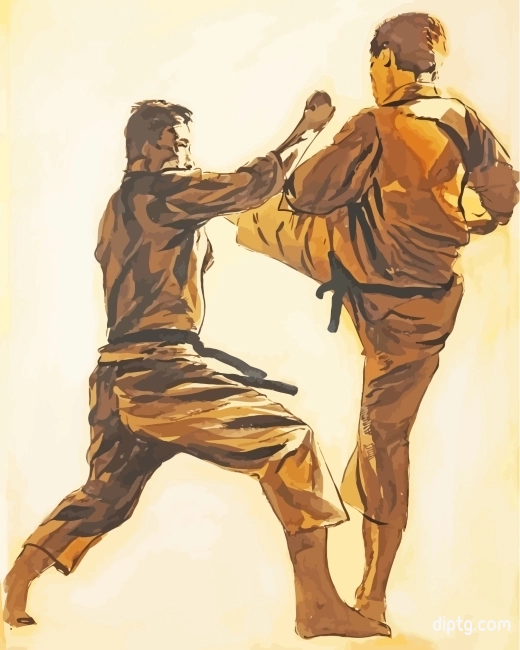 Shotokan Karate Painting By Numbers Kits.jpg