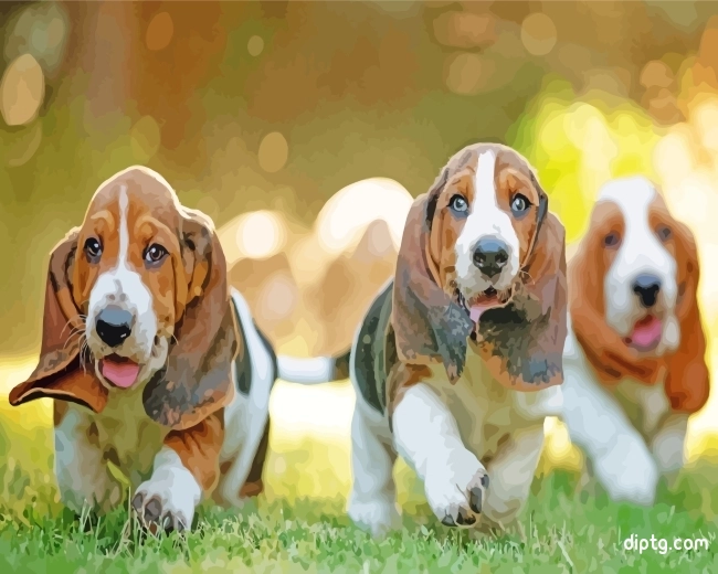 Basset Hound Puppies Painting By Numbers Kits.jpg