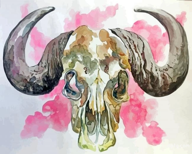 Abstract Buffalo Skull Painting By Numbers Kits.jpg