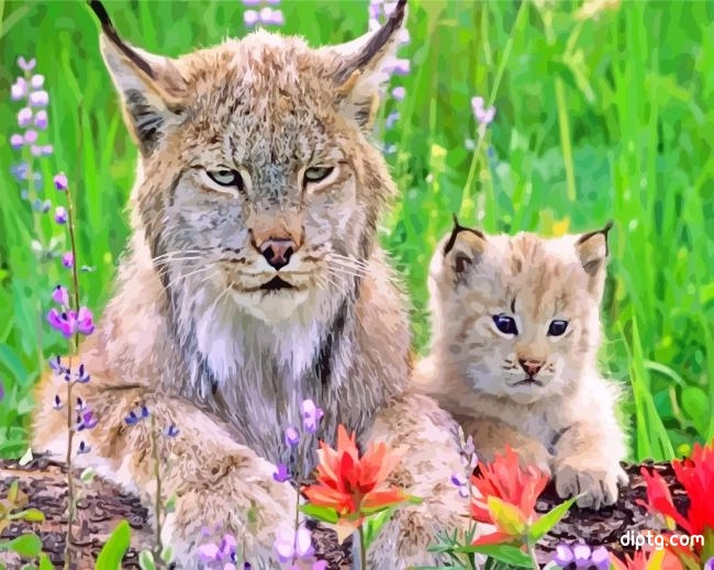 Cute Lynx Painting By Numbers Kits.jpg