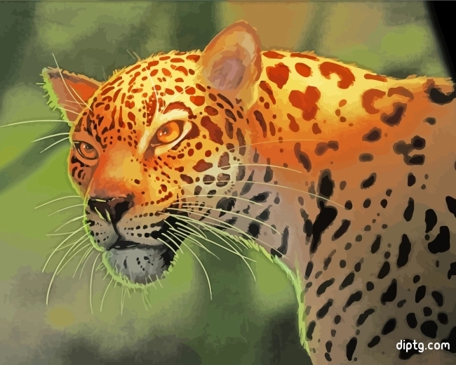 Jaguar Animal Painting By Numbers Kits.jpg