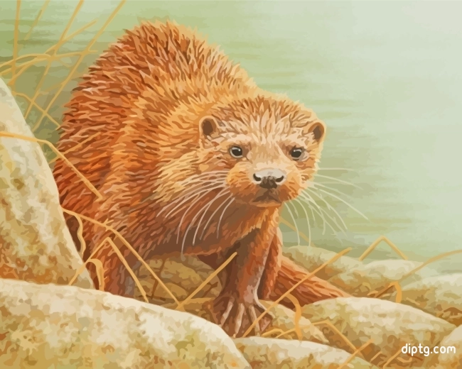 Otter Animal Painting By Numbers Kits.jpg