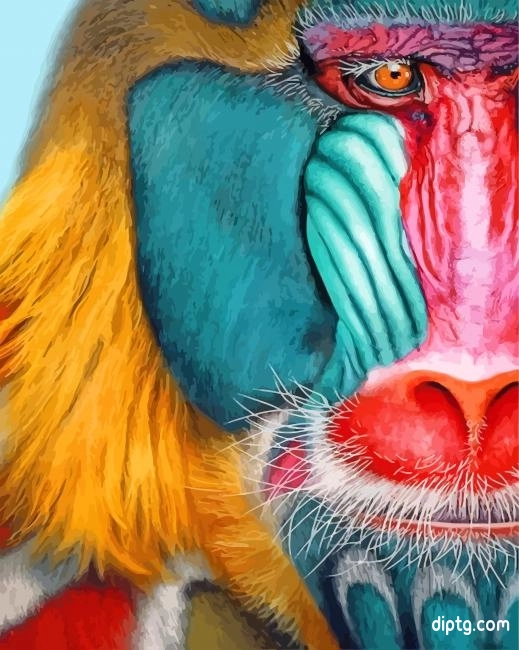 Mandrill Face Painting By Numbers Kits.jpg