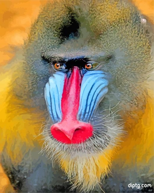 Mandrill Monkey Face Painting By Numbers Kits.jpg